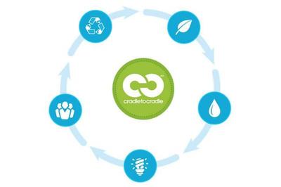 &ldquo;從搖籃到搖籃&rdquo;,常州智雄環(huán)保讓廢舊汽車重新煥發(fā)生機