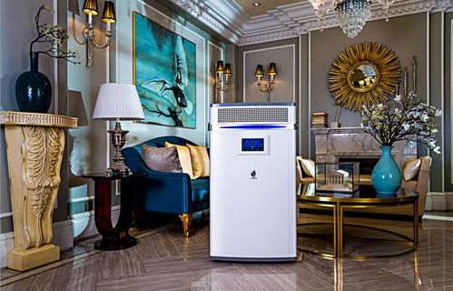 洛陽新雨環保科技批發價格 洛陽新雨環保科技生產廠家