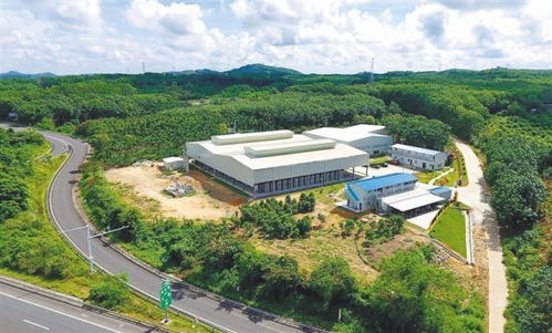 澄邁產業(yè)幫扶拔窮根 環(huán)保科技鋪就可持續(xù)發(fā)展之路